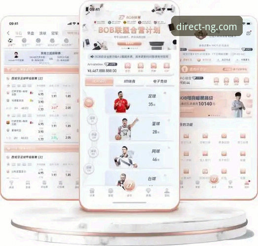 NG体育平台登录体验全面解析：从入口选择到安全验证的创新路径